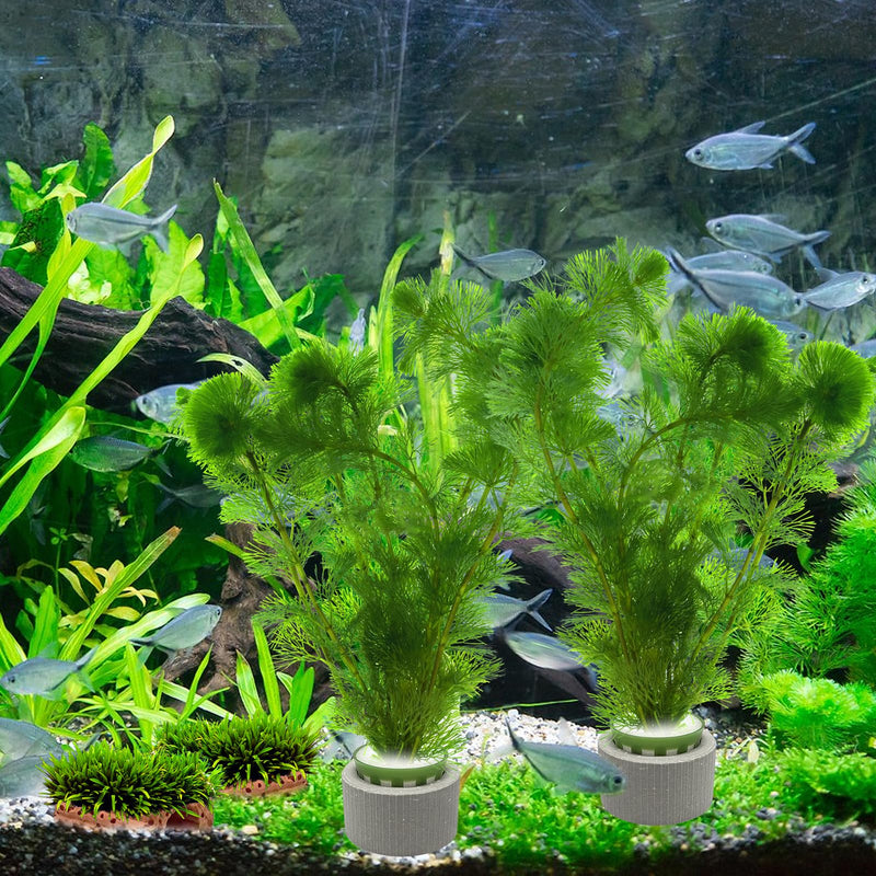 Rainmae 16 Pack New Upgrade Aquarium Plant Weights, Aquatic Water Plant Fixed Rings, Water Plants Cultivation Fixed Ring Plant Pot, Landscape Ceramic Pottery Gravity Ring for Fish Tank Accessories - PawsPlanet Australia