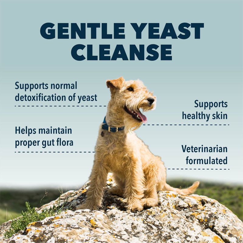Yeast Guard - Dog Gut Health Probiotics Support Powder - Organic Herbs for Flora and Immune Support - 7 to 60 Day Supply, Depending on Dog’s Weight - Vet Formulated - for All Breeds - PawsPlanet Australia