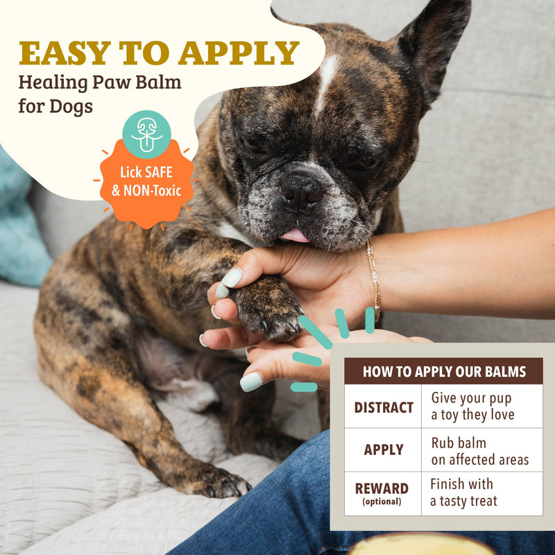 Natural Dog Company - Paw Soother | Dry, Cracked, Irritated Dog Paw Pads, Organic, All-Natural Ingredients, Easy to Apply 2oz/59ml Tin 1 count (Pack of 1) - PawsPlanet Australia