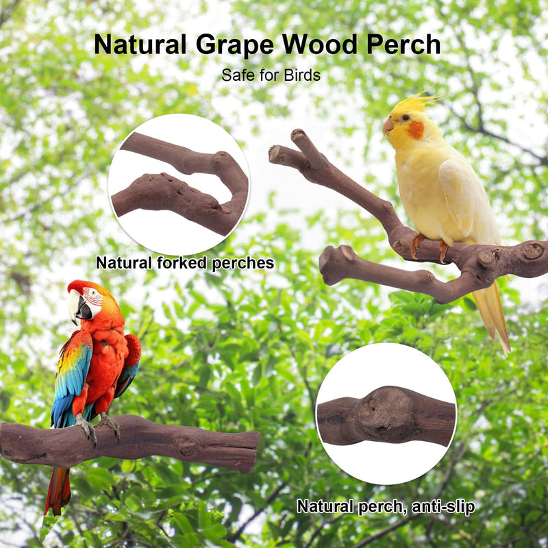 6PCS Bird Perches Natural Parrot Perch Stand for Cage, Grape Wood Stands, Bird Platforms, Parakeets Paw Grinding Fork Exercise Toys Set for Cockatiels, Conure, Parrot - PawsPlanet Australia