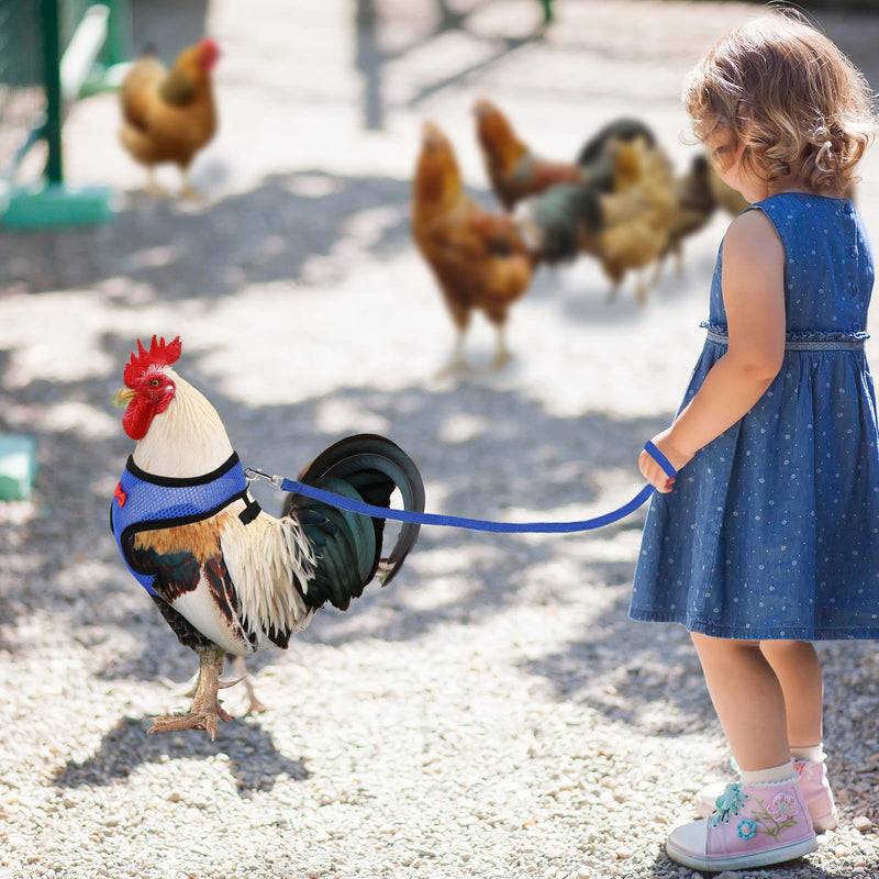 4Pcs Adjustable Chicken Harness Safe Convenient Breathable Comfortable Suitable for Small Animal Training Can Be Used As a Chickens Leashes and Harnesses (Medium) - PawsPlanet Australia