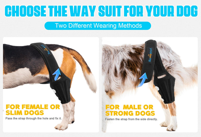 Dog Knee Brace for Torn ACL Hind Leg, Rear Leg Brace Support for Cruciate Ligament Injury, Joint Pain and Muscle Sore, Easy to Put On and Off Dog Braces for Back Leg L - PawsPlanet Australia
