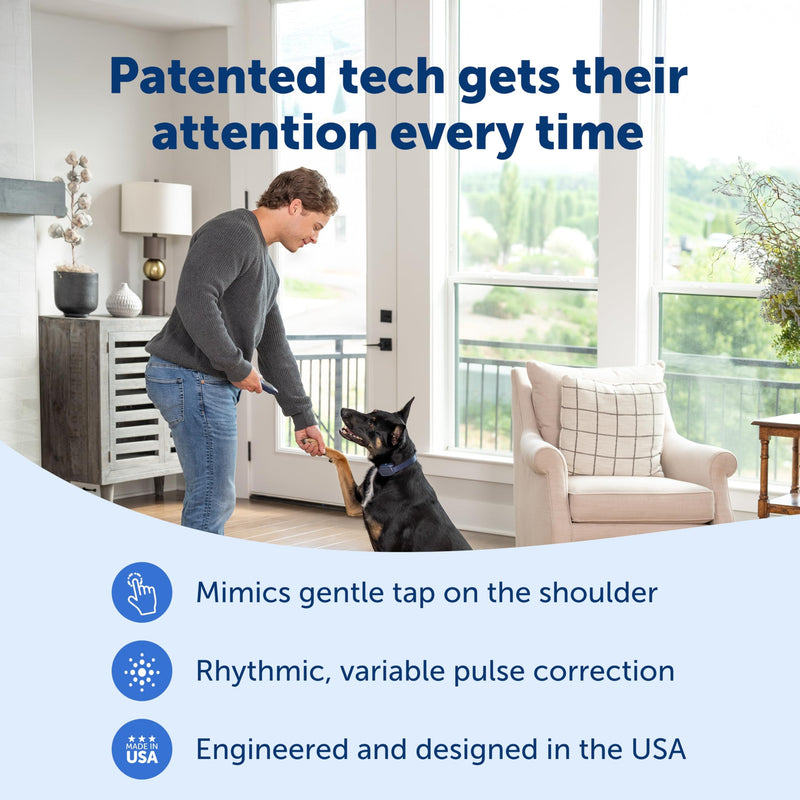 PetSafe Basic Dog Trainer with Remote - Effective Dog Training - 19 Levels of Static Correction - Waterproof Collar - Rechargeable Training Collar - Compact Remote Transmitter Basic Trainer - PawsPlanet Australia