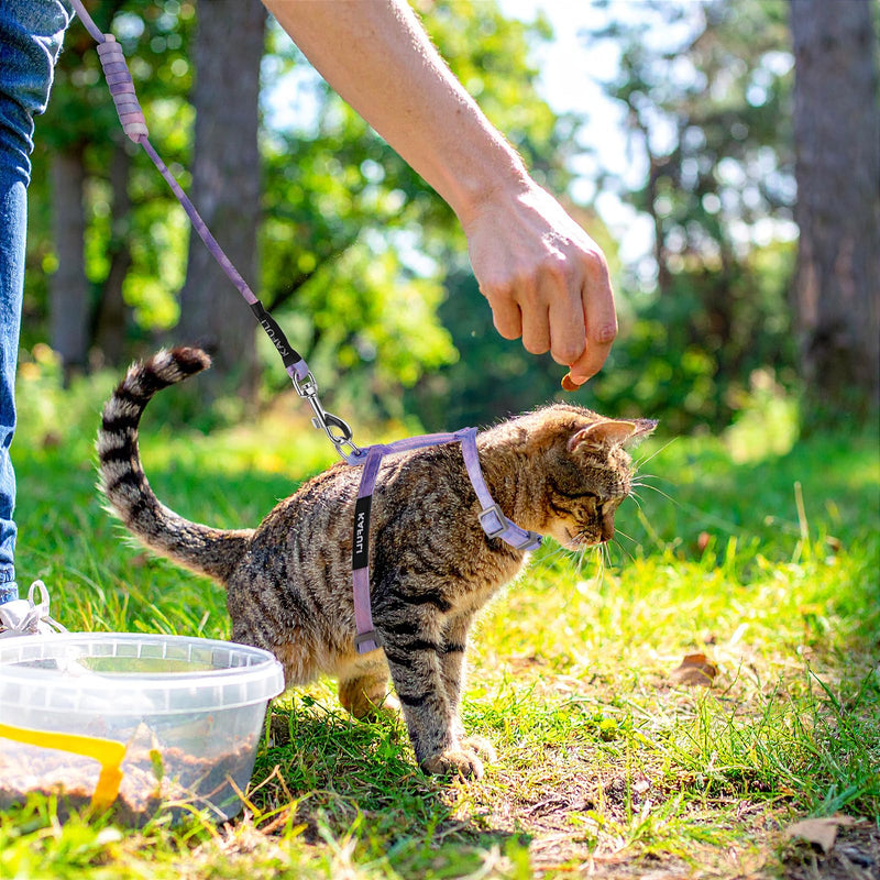 Cat Harness and Leash for Walking Escape Proof Adjustable Soft Harnesses and Leash Set Easy to Wear Kitten Harness for Travel Training and Walking(Gradient Purple) Gradient Purple - PawsPlanet Australia