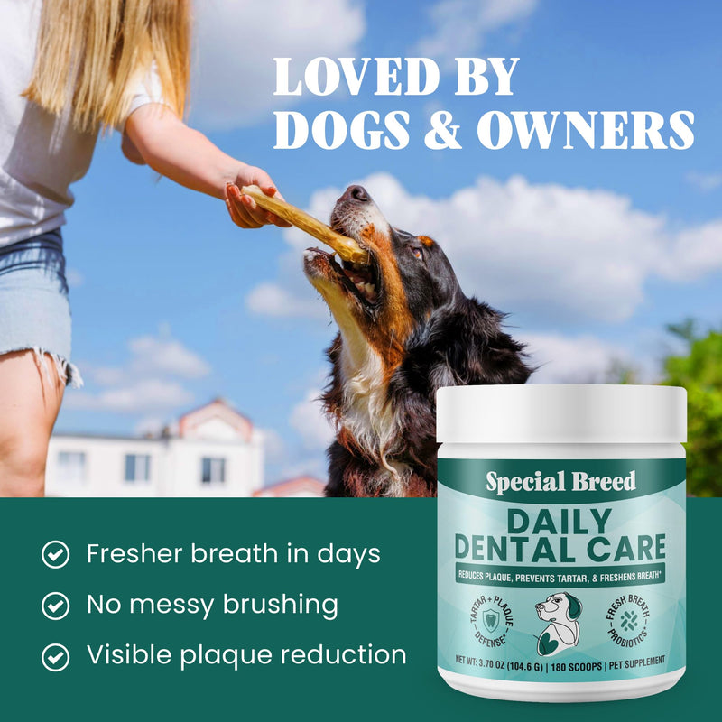 Dog Teeth Cleaning Powder – Natural Dog Dental Powder for Tartar Control, Fresh Breath & Gum Health – Daily Plaque Remover with Zeolite, Brown Algae, Probiotics & Rosemary – 180 Scoops 3.7 Ounce (Pack of 1)