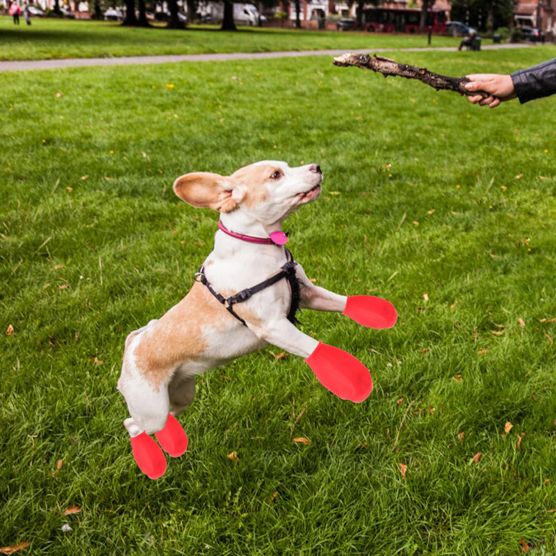 Waterproof Dog Boots Non-Slip Outdoor Pet Shoes Paw Protectors for Cats and Dogs Size L - PawsPlanet Australia