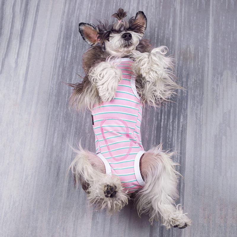 Puppy Striped Recovery Suit for Female Male Dogs Cats,Zip Up Dog Onesie Recovery Shirt Abdominal Wounds,Professional Spay Neuter Dog Pet Bodysuit After Surgery Wear Anti Licking Wounds L Black striped - PawsPlanet Australia