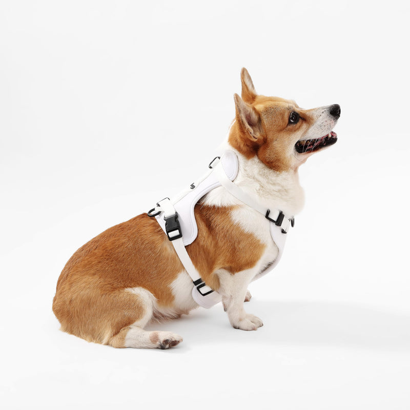 HNS1002F Arlo Medium Adjustable Soft Padded No Pull Pet Harness with 3 Buckles and 3 Leash Clips, Seltzer White Medium (Chest: 18 - 28") - PawsPlanet Australia
