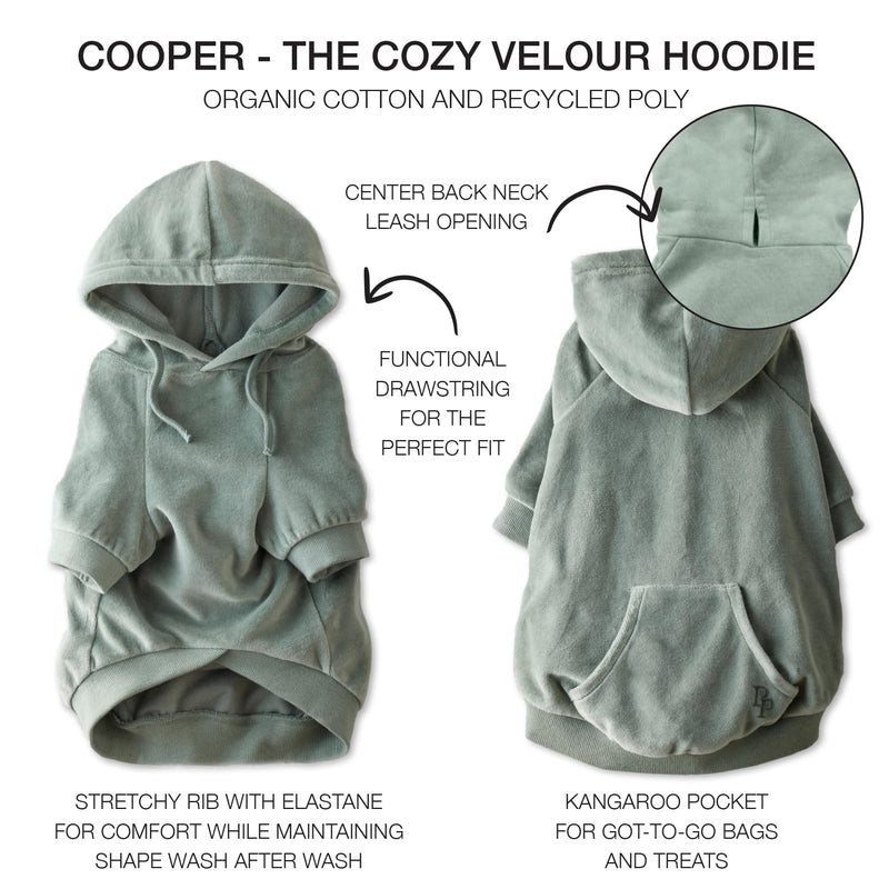 Cooper II Organic Cotton Velour Dog Hoodie Pet Coat for Small, Medium and Large Dogs, Sage, X-Large (55-80 lbs) X-Large (55-80 lbs) - PawsPlanet Australia