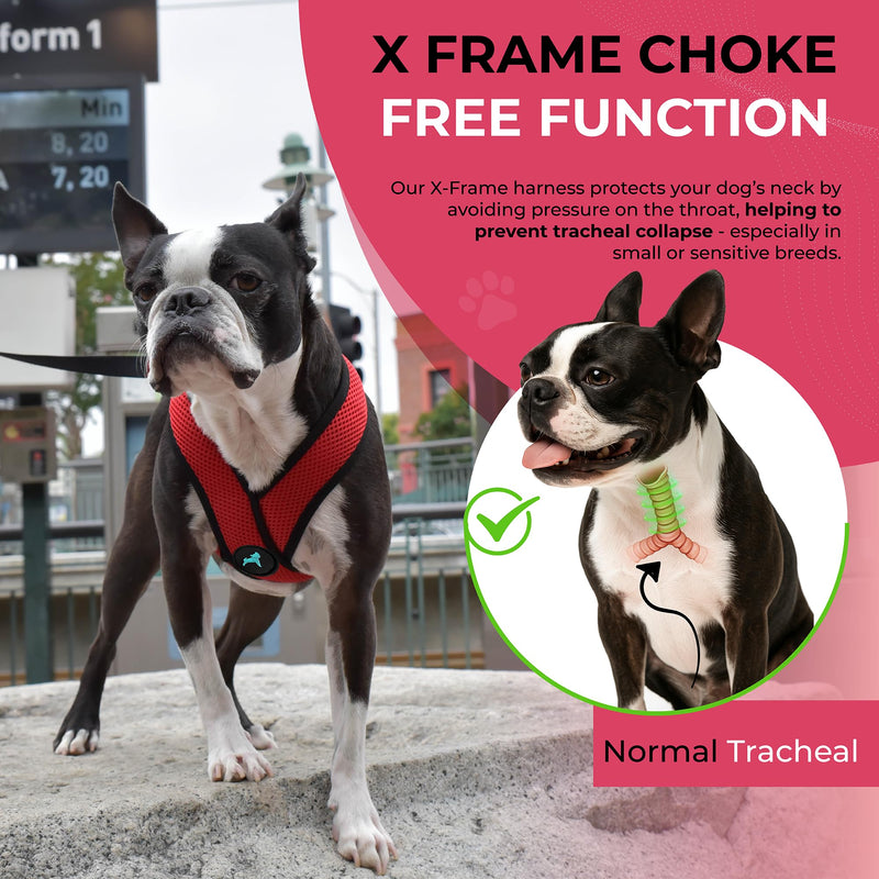Gooby Comfort X Head in Harness - Red, Medium - No Pull Small Dog Harness, Patented Choke-Free X Frame - Perfect on The Go Dog Harness for Medium Dogs No Pull or Small Dogs for Indoor and Outdoor Use Medium Chest (14.25-18.75") - PawsPlanet Australia