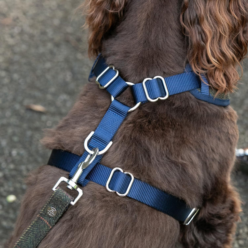 HUGO & HUDSON x HACKETT Tweed Dog Harness Adjustable No Pull Vest, Dark Green Checked Herringbone XS