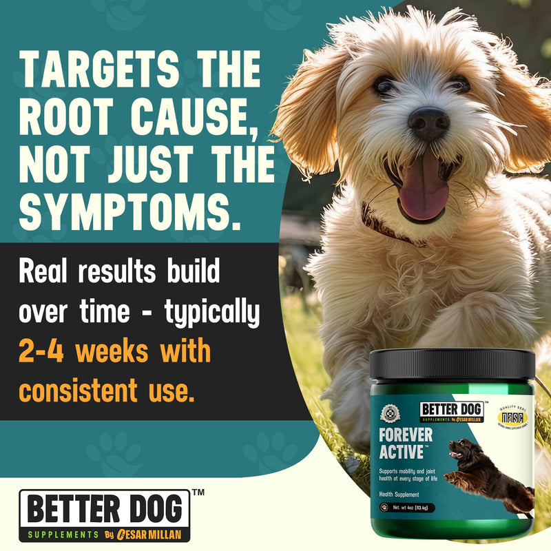 Better Dog Supplements Forever Active by Cesar Millan – Natural Hip & Joint Support Powder for Dogs – Mobility, Flexibility & Comfort with Boswellia, Devil’s Claw & Herbal Blend – 4oz (60-Day Supply) - PawsPlanet Australia