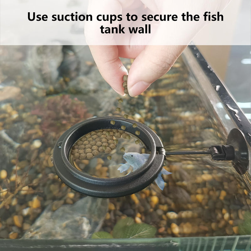 FREESEA Aquarium Fish Feeding Ring: Round Clear Floating Food Ring for Small Fish Tanks - PawsPlanet Australia