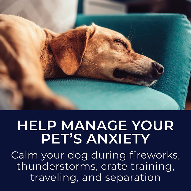 Yogasleep Pawzz White Noise Machine for Dogs, Home & All Pets. with Integrated Bark Sensor, 6 Automatic Relaxing Natural Sounds, Help Keep Pets Calm, Anti-Barking with Training, Noise Canceling - PawsPlanet Australia