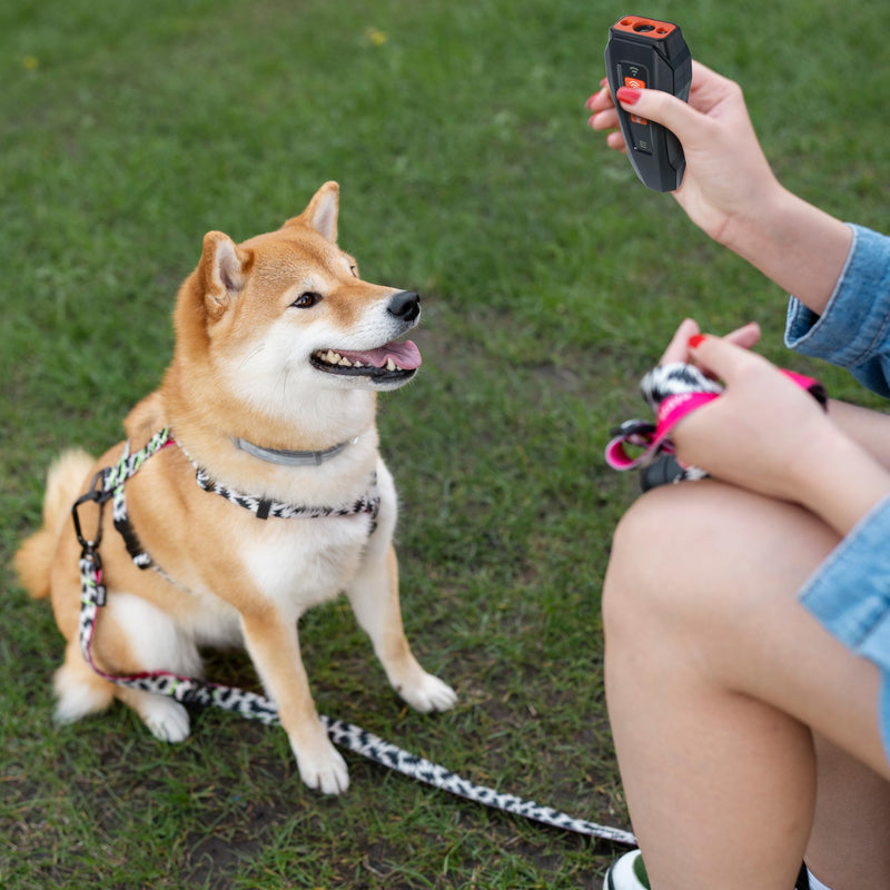Barks No More Dog Training Device, Ultrasonic Barking Control Whistle Silencer Deterrent Stopper Repeller Aid Safe Pet Guard Anti Unwanted Whining Behavior Outdoor Indoor Silent Remote Clicker Trainer - PawsPlanet Australia