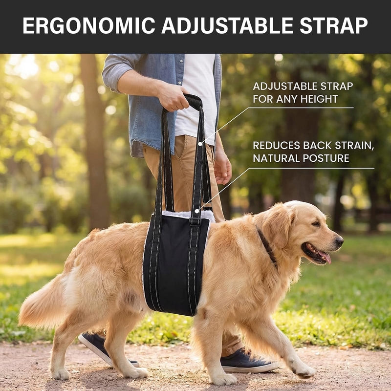 Dog Lift Harness Support Sling, Rear Leg Support Harness for Senior Disabled Dogs, Adjustable Sling with Reflective Strap (Black, L) Black