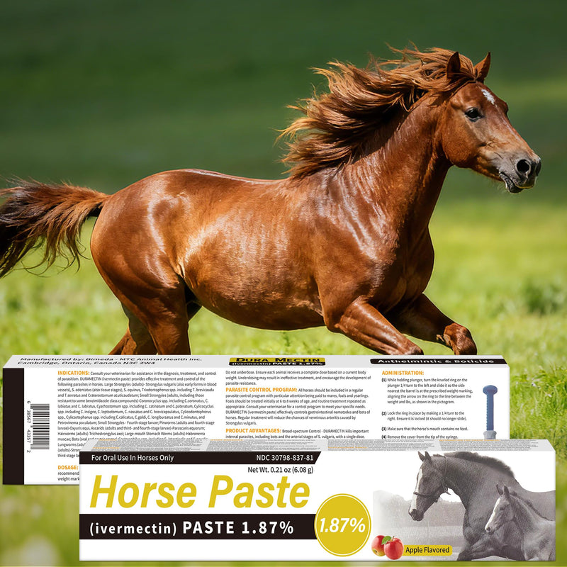 1 Pack Equine Paste 1.87% – (6.08g Each) Apple Flavored Oral for Horse