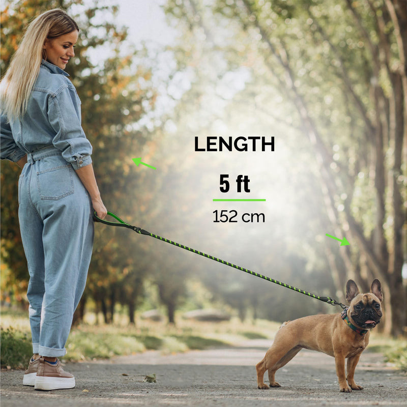 Green Dog Leash with Soft Padded Handle - 5 Ft Reflective Heavy Duty Dog Rope Leash for Small Medium & Large Dogs, Lightweight Walking & Training Strong Dog Leash for Pet, 5ft Leashes Green - PawsPlanet Australia