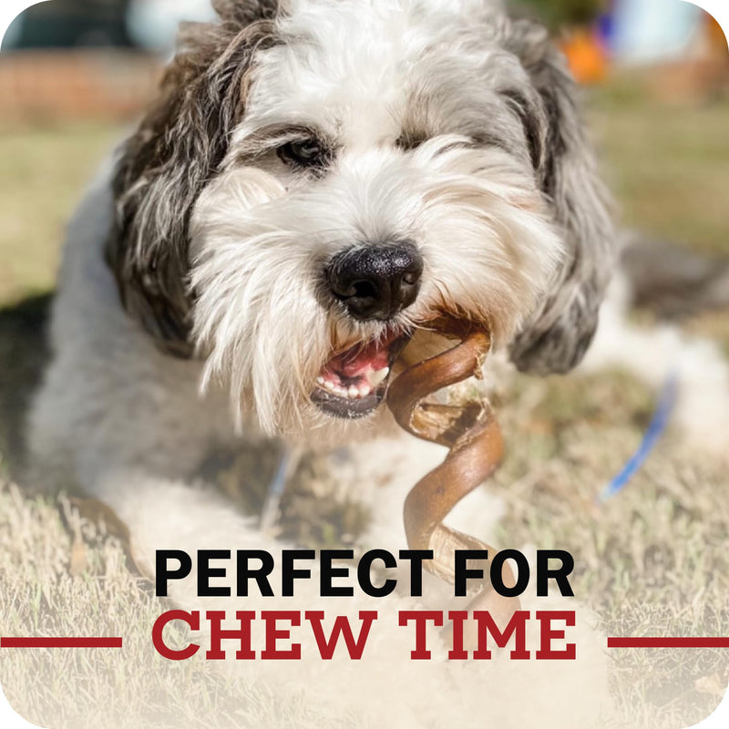 Redbarn Premium Bully Sticks for Dogs - 7 Inch, 6 Count - Long Lasting, Rawhide-Free, Slow Roasted, Low Odor & Highly Digestible, Single Ingredient Chews & All-Natural Dental Treats for Chewers 7" 6 Count (Pack of 1) - PawsPlanet Australia