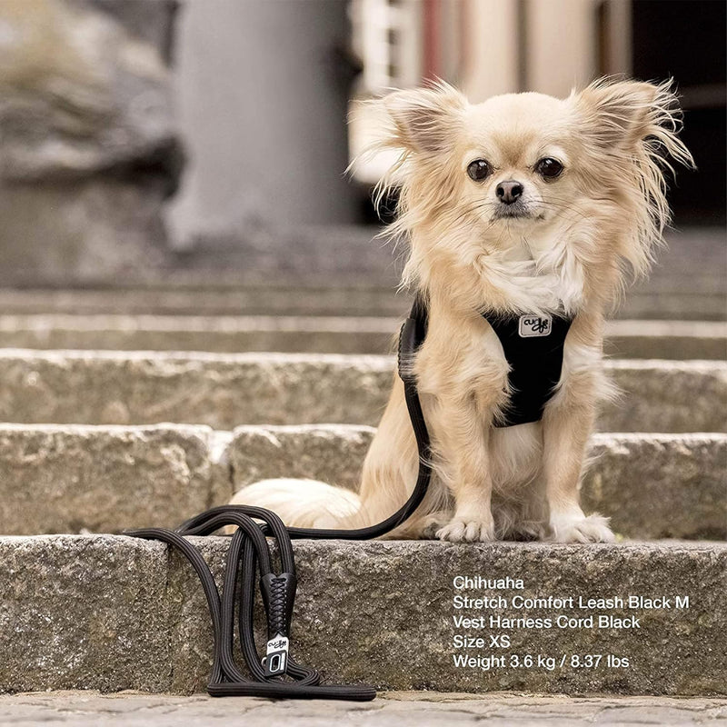Stretch Comfort Leash Ruby M