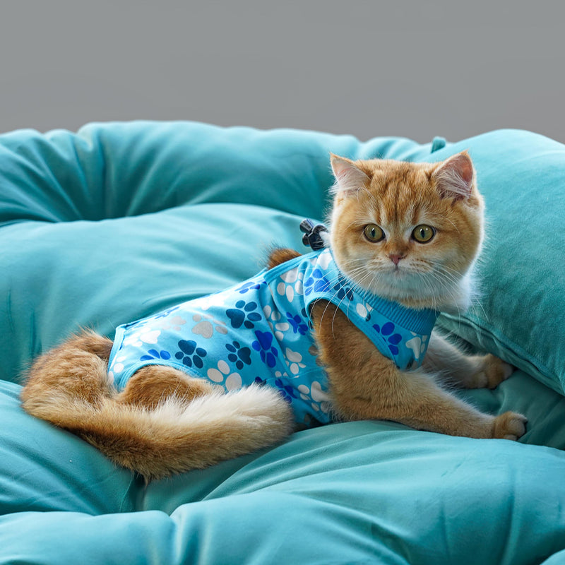 Cat Recovery Suit – Soft, Breathable Onesie for Female & Male Pets After Surgery, Spay, Neuter or Wounds, Surgery Outfit, Cone Alternative, Litter Access, Machine Washable, Blue Paw Print Large