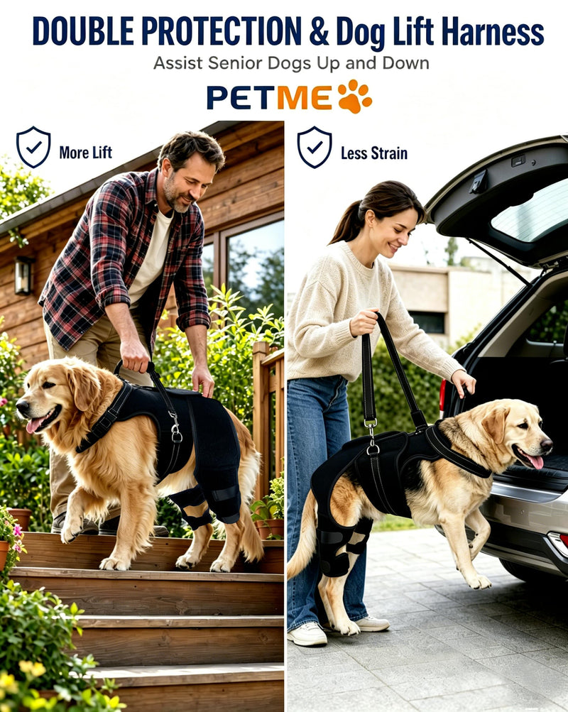 2-in-1 Dog Knee Brace and Lift Harness, Adjustable Back Leg Support with Stabilizers for ACL Recovery & Joint Care, Dog Sling for Hind Legs, Mobility Aid for Elderly Dogs with Luxating Patella (M) M