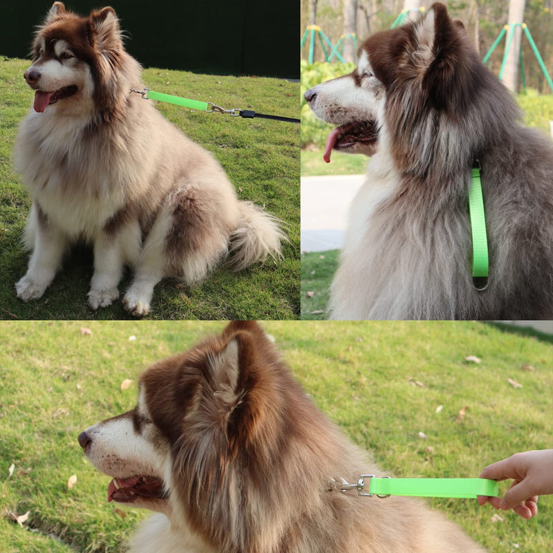 Traffic Dog Leash Dogs Training Leash Pet Traffic Grab Handle Training Tab Pets Leash Short Dog Leashes Dogs Training Lead Leashes (Green & Blue) green & blue - PawsPlanet Australia