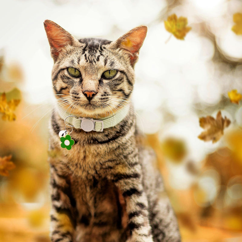 2 Pack Cat Collar with Bells, Corduroy Adjustable Kitten Collars with Breakaway Safety Buckle for Boy Girl Cats-Green Blue Green+Blue - PawsPlanet Australia
