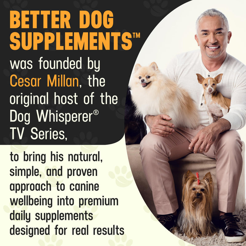 Better Dog Supplements Forever Active by Cesar Millan – Natural Hip & Joint Support Powder for Dogs – Mobility, Flexibility & Comfort with Boswellia, Devil’s Claw & Herbal Blend – 4oz (60-Day Supply) - PawsPlanet Australia