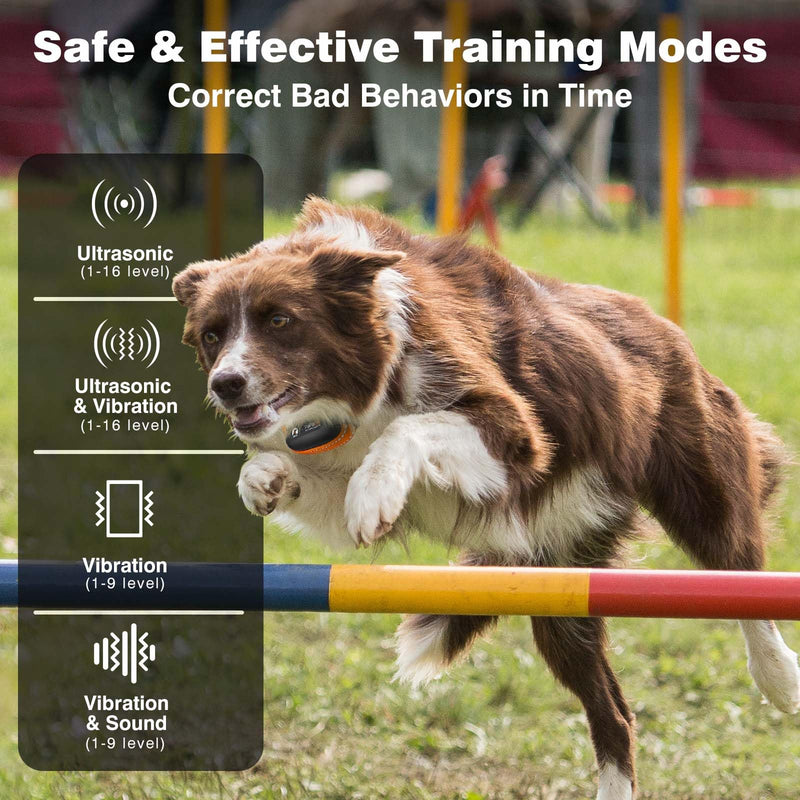 PaiPaitek Vibrating Dog Collar No Shock - 3300ft Dog Training Collar with Remote for 10-120lbs Small Medium Large with Beep, Vibration, Ultrasonic Modes, Security Lock & No Prongs - PawsPlanet Australia