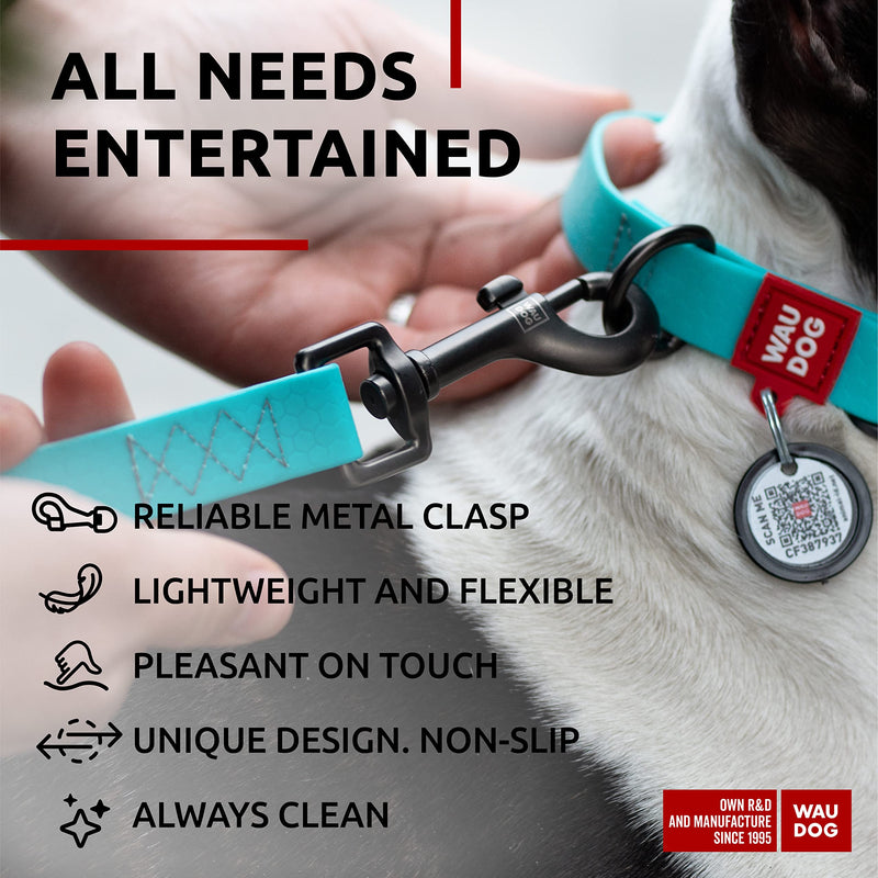 Waterproof Dog Leash - Glow Anti-Slip Dog Leash for Large Small and Medium Breeds - Heavy Duty - Water- & Dirt-Resistant - Boy & Girl 4 Ft x 1" - PawsPlanet Australia