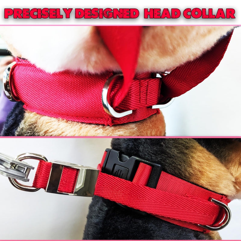 PetsProMax - Dog Headcollar for Pulling and Reactive Dogs; Behind Head Dog Leash Hook Lets You Walk Peacefully; Instantly Stops Your Dog Pulling. Dogs No-Pull Training HeadCollars. Red (M) Medium (M) - PawsPlanet Australia