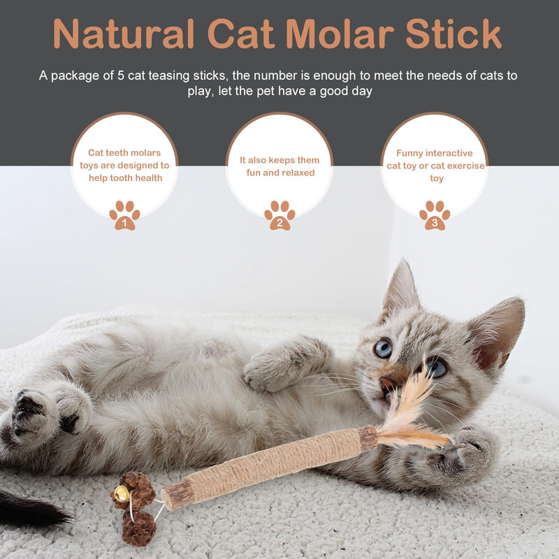 iplusmile 5 pcs Cat Toy Bites made from Actinidia Polygama and Cecidum Fruit for Cats for Dental Care and Indoor Activity