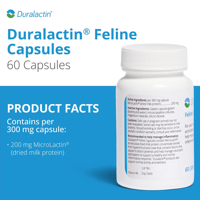 PRN Pharmacal Duralactin Feline - Joint Health Supplement for Cats & Kittens Supports Chronic Soreness, Joint Health & Overall Wellness - Gelatin Capsules Containing Dried Milk Protein - 60 Capsules - PawsPlanet Australia