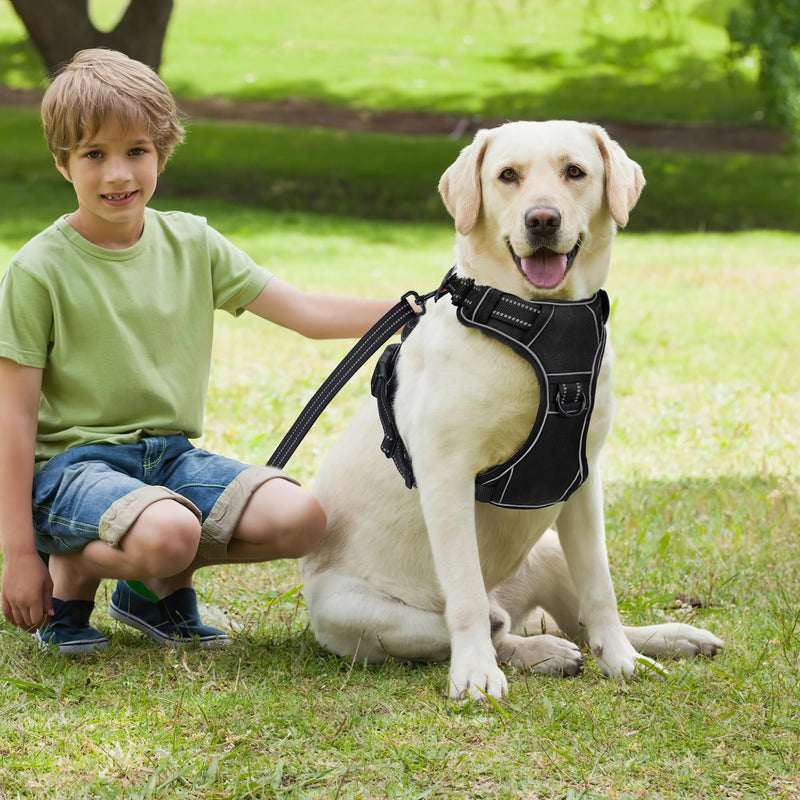 Dog Harness with Leash, Heavy Duty No-Pull Tactical Vest Reflective Harness with Control Handle for Small Medium Dogs - PawsPlanet Australia