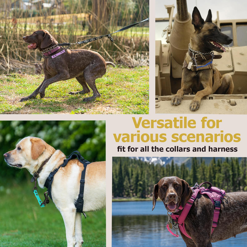 Dog Safety Collar Clip – Waterproof Backup Connector with Dual Hooks for Harness and Collar | Leash Safety Attachment for Training & Walking (Black, 9 inch) Black - PawsPlanet Australia