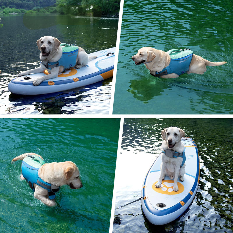 ZLX Dog Life Jacket, High Buoyancy Dog Life Vest with Secure Handle, Ripstop Lifejacket for Swimming, Boating, Water Safety, Adjustable Lightweight Floating Pet Preserver, Medium, Blue Medium (Chest Girth: 20"-24") - PawsPlanet Australia