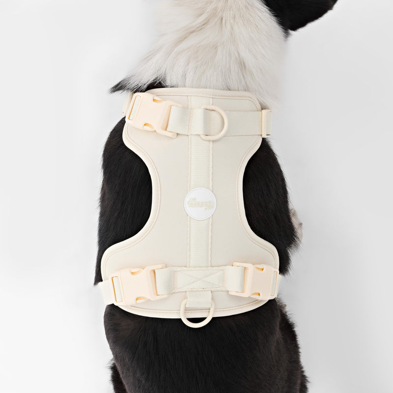 HNS1003L Arlo Large Adjustable Soft Padded No Pull Pet Harness with 3 Buckles and 3 Leash Clips, Bailey Almond Large (Chest: 24 - 37") - PawsPlanet Australia