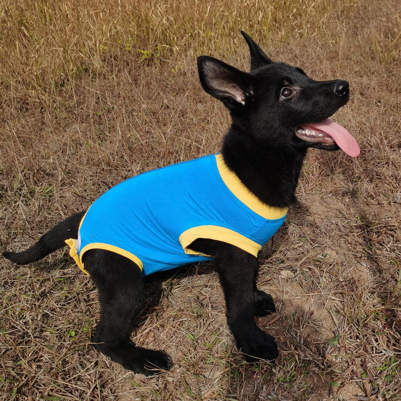 Dog Surgery Recovery Suit After Spay, Dog Onesies for Small, Medium & Large Pet, Abdominal Wounds Post Surgical Recovery Suit lternatives to E-Collars Bandages Recovery Cones M Blue - PawsPlanet Australia