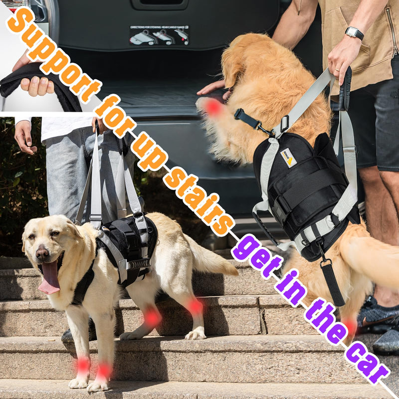Dog Lift Harness for Large Dogs,Full Body Dog Sling Carrier with Handle,for Up Stair/Back Legs Support/Dogs Joint Injuries/Arthritis (Large) - PawsPlanet Australia