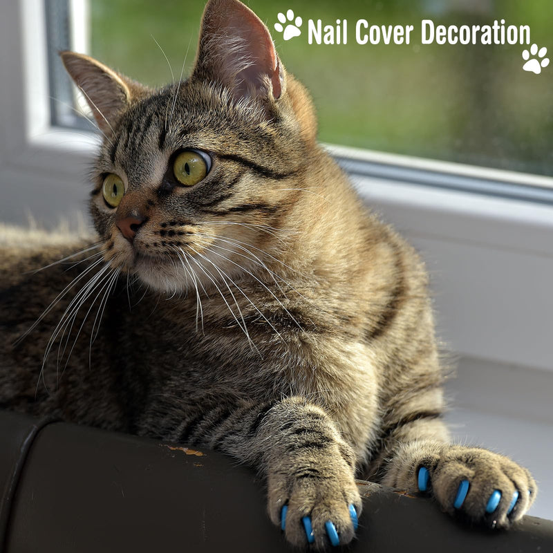 10 Pcs Cat Bathing Bag Set Pet Mesh Shower Bag Anti Bite and Scratch Pet Grooming for Washing Brush, Cat Muzzle, Nail Clipper, Nail File, Tick Tool (Blue and Gray) Blue and Gray - PawsPlanet Australia