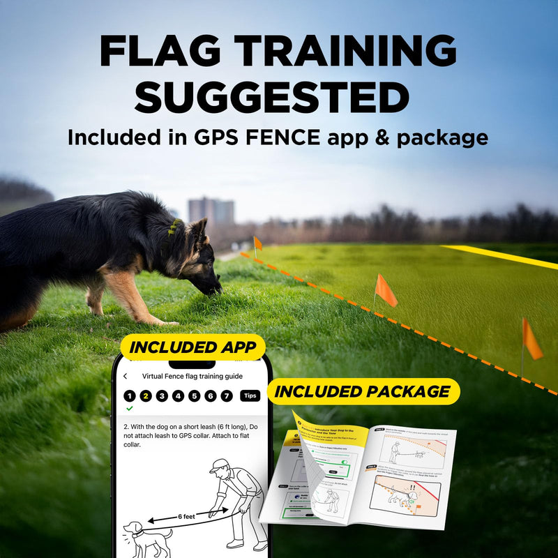 Dogtra Training Flags for GPS Fence/SMART Fence – 50-Pack Neon Orange Boundary Markers – Flexible, Weather-Resistant Yard Flags for Wireless Fence Training, Pet Containment, Safe Outdoor Setup Training Flags Only