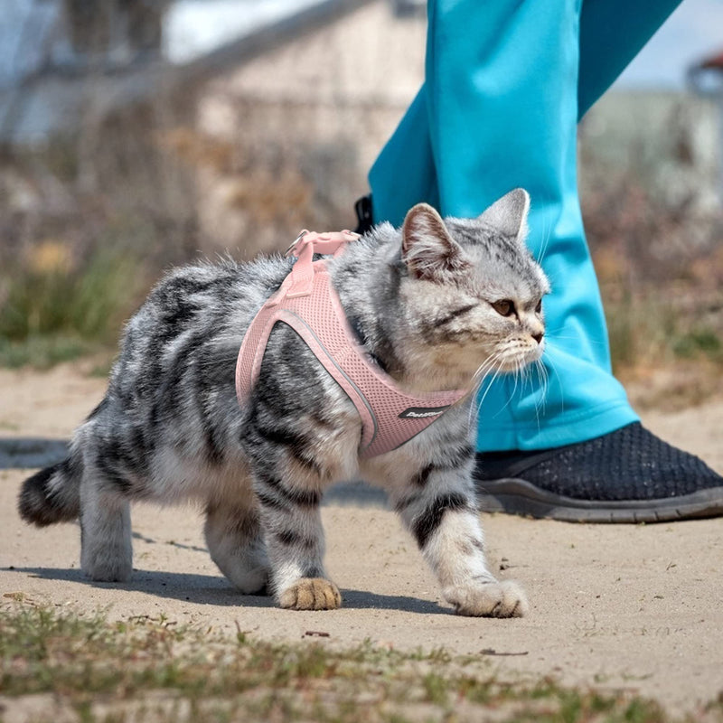 PetiFine Extra Small Step in Dog Harness and Leash Set, Cat Harness and Leash Escape Proof, All Weather Mesh Reflective, Step-in Air Vest Harnesses for Puppy(XXS, Pink) XXS | Neck: 11.4''-12.2'' Chest:12.6''-14.2'' | - PawsPlanet Australia