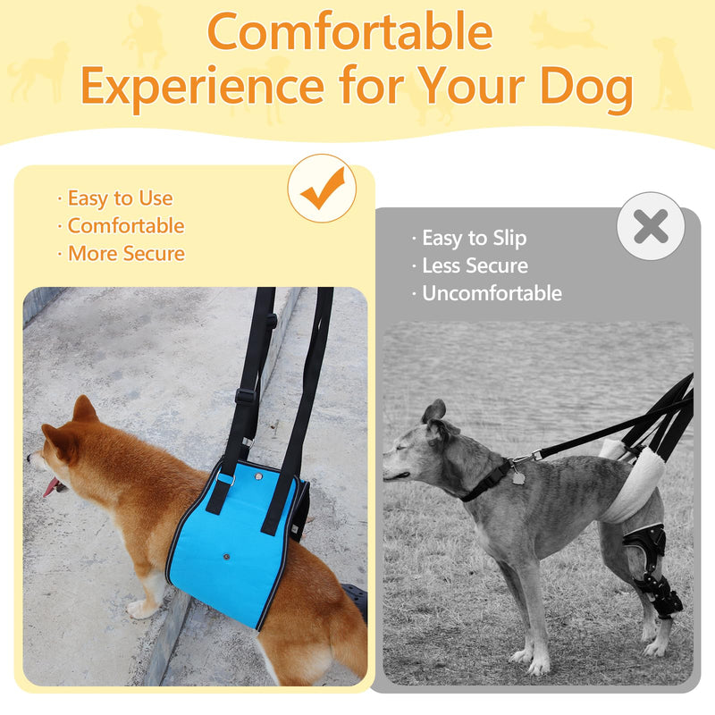 Dog Lift Harness Dog Sling for Large Dogs, Portable Dog Carrier Sling for Back Legs, Ajustable Hip Support Harness for Weak Rear Leg, Assist Senior Disabled Joint Injuried and After ACL Medium Blue - PawsPlanet Australia