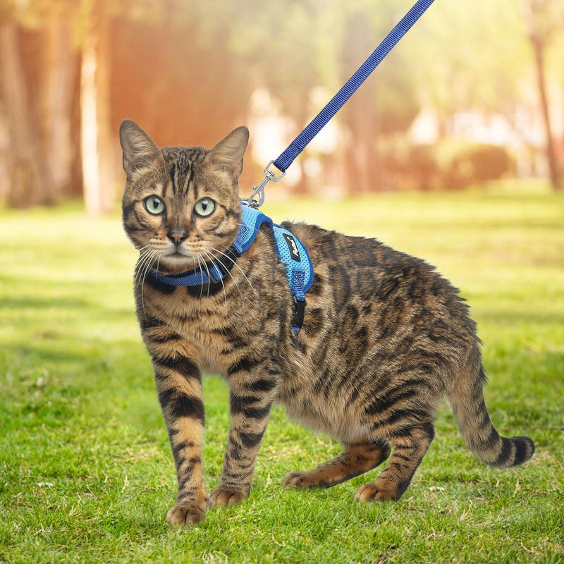 PUPTECK Cat Harness and Leash Set Escape Proof, Reflective Adjustable Soft Mesh Kitten Vest Harness for Walking Travel, Blue, M Medium