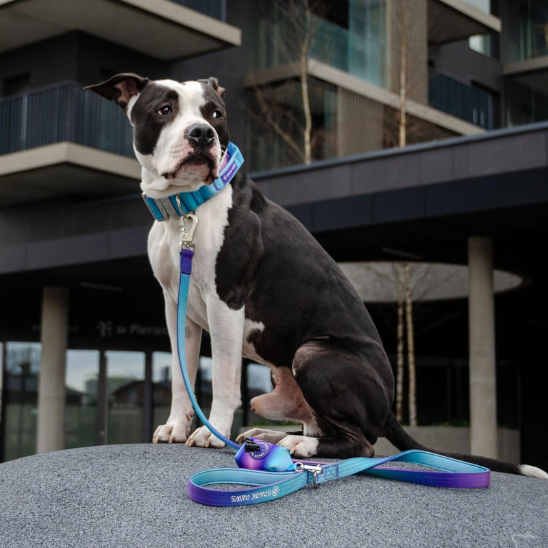 Spark Paws Premium Dog Leash & Poop Bag Set - Heavy-Duty Alloy Hook for Strong Pulling Breeds - Comfortable, Durable & Secure - 90s Retro - PawsPlanet Australia