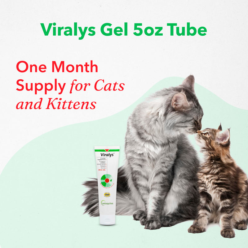 Vetoquinol Viralys Gel L-Lysine Supplement for Cats, 5oz - Cats & Kittens of All Ages - Immune Health - Sneezing, Runny Nose, Squinting, Watery Eyes - Palatable Maple Flavor Lysine Gel 5 oz