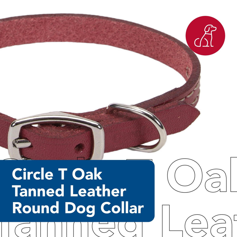 Coastal Pet - Circle T - Oak Tanned Leather Town Dog Collar, Red, 5/8" x 16" - PawsPlanet Australia