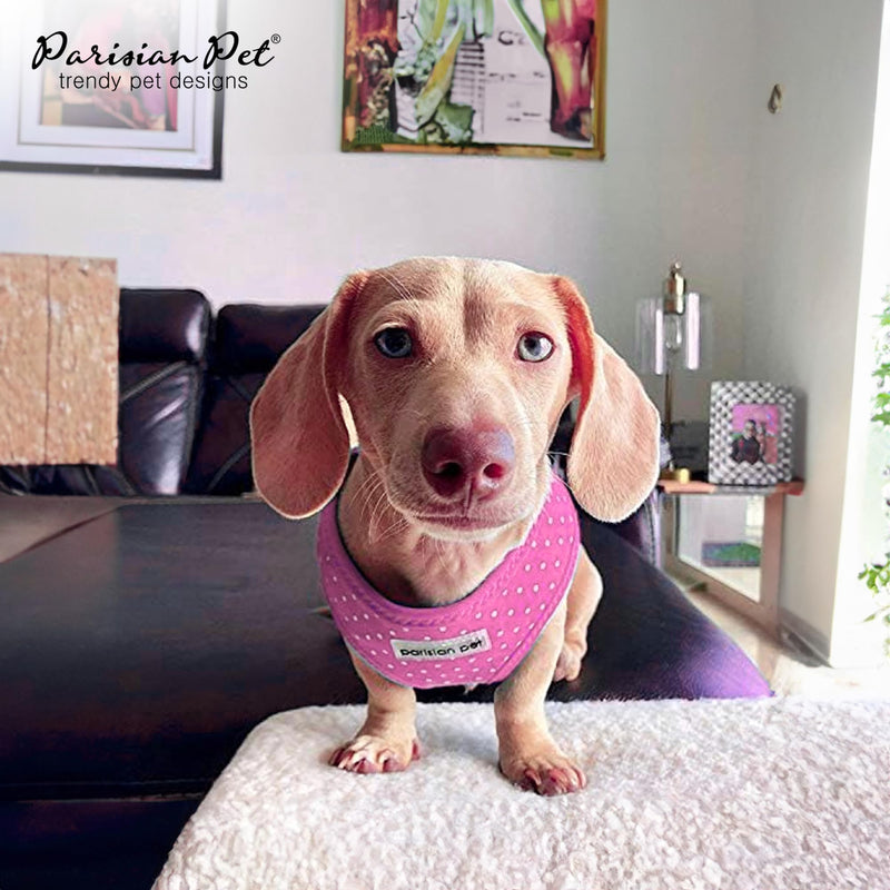 Parisian Pet Girl Dog Harness - Adjustable Dog Vest Harness - 100% Mesh Fabric No Pull Dog Harness Small-Sized Dog - Polka Dot Cooling Dog Harness for Walking, Running, and Hiking - Puppy Harness - S Pink Dots - PawsPlanet Australia