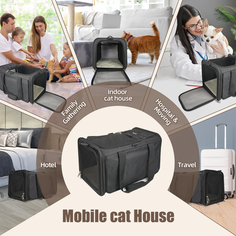Cat Carrier American, United, Delta Airline Approved/Soft-Sided Pet Travel Bag for Medium Cat 15+ lbs Small Dog Traveling Crate Under 15 Pounds TSA Approved Carrying Cage Underseat Cabin Black - PawsPlanet Australia